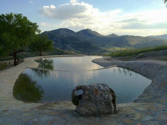 Piscina Naturale Laghetto